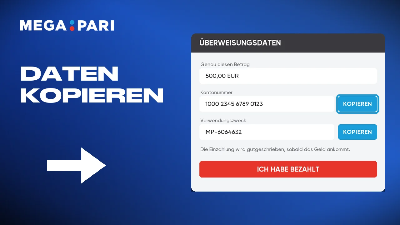 Die angezeigten Zahlungsdaten kopieren