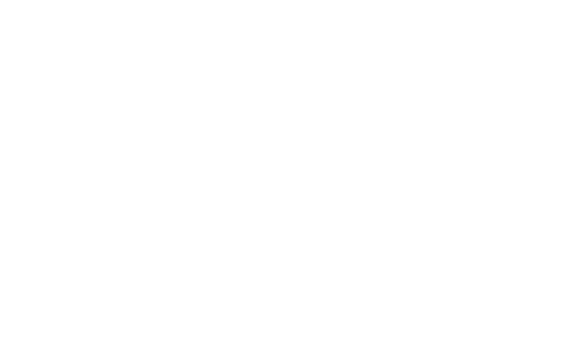 Statistik von Megapari zu Klicks, Conversions und Einnahmen